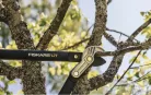Fiskars PowerGear LX77 ágvágó, rávágó 1000583