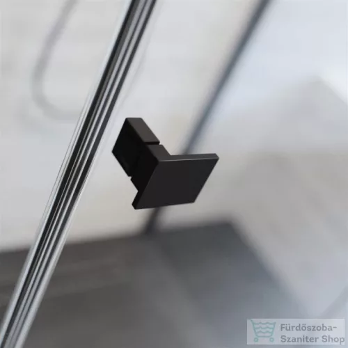 Radaway Essenza Pro Black DWJ 100 zuhanyajtó fekete balos 10099100-54-01L