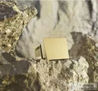 Radaway Essenza Pro DWJ 110 zuhanyajtó, szálcsiszolt arany, jobbos 10099110-99-01R