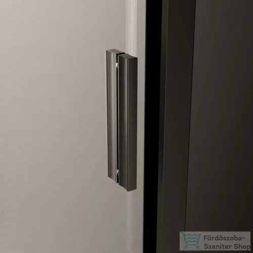 Radaway Alienta Black DWJ 130 zuhanyajtó, fekete profil 10260130-54-01