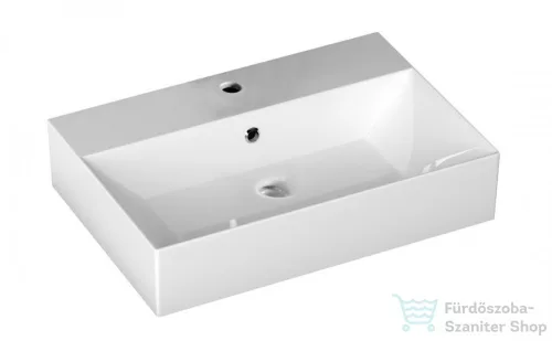 AQUALINE SISTEMA kerámiamosdó, pultra vagy falra szerelhető, 60x42cm 10SF50060