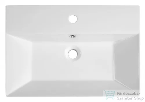 AQUALINE SISTEMA kerámiamosdó, pultra vagy falra szerelhető, 60x42cm 10SF50060