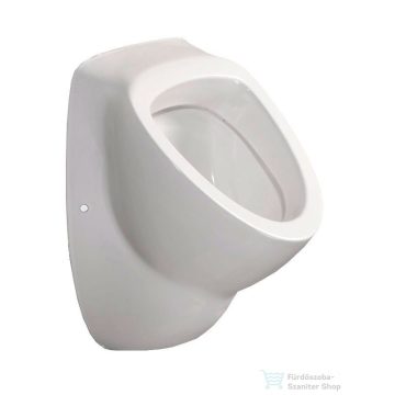   AQUALINE Piszoár, hátsó vízbekötéssel, szifonnal, 58x39cm 10SZ92001-DS