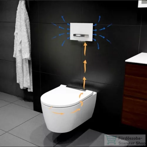 Geberit DuoFresh modul, vízkezelő tabletta bedobónyílással, automatikus bekapcsolással, Sigma 12cm-es falsík alatti öblítőtartályhoz, antracit szürke 115.050.BZ.2