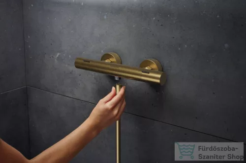 Hansgrohe Ecostat Fine termosztátos zuhany csaptelep, szálcsiszolt bronz 13324140