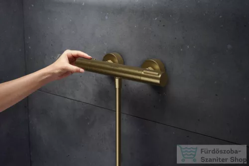 Hansgrohe Ecostat Element termosztátos zuhany csaptelep, szálcsiszolt bronz 13346140