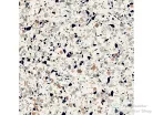 Delconca FRAMMENTI Bianco Micro FR-10, 20x20 cm-es padlólap, 20FR10MI