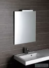 AQUALINE csiszolt tükör akasztó nélkül, 50x90cm (22494)