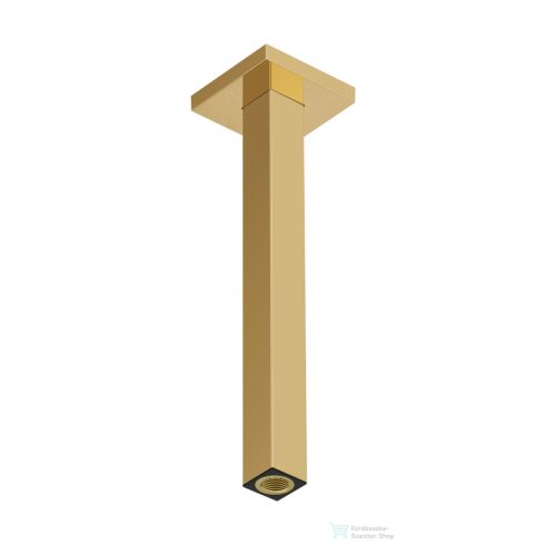 Hansgrohe E 30 cm-es mennyezeti zuhanykar, polírozott arany hatású 24339990