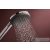 Hansgrohe Raindance ALIVE 3S kézizuhany 3 funkcióval, króm 24500000