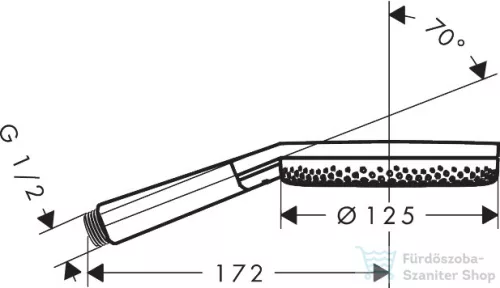 Hansgrohe Raindance ALIVE 3S kézizuhany 3 funkcióval, szálcsiszolt bronz 24500140