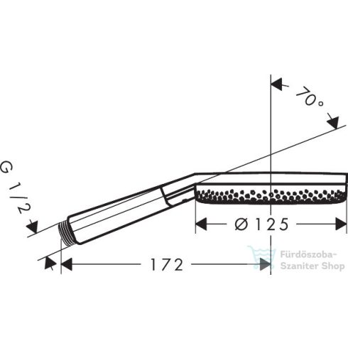 Hansgrohe Raindance ALIVE 3S Ecosmart+ kézizuhany 3 funkcióval, szálcsiszolt bronz 24512140