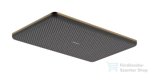 Hansgrohe RAINDANCE ALIVE Q Ecosmart 21,4x34,3 cm-es fejzuhany, szálcsiszolt bronz 24531140