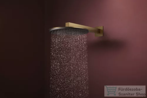 Hansgrohe RAINDANCE ALIVE S 300 2 funkciós fejzuhany zuhanykarral, alaptest nélkül, szálcsiszolt bronz 24540140