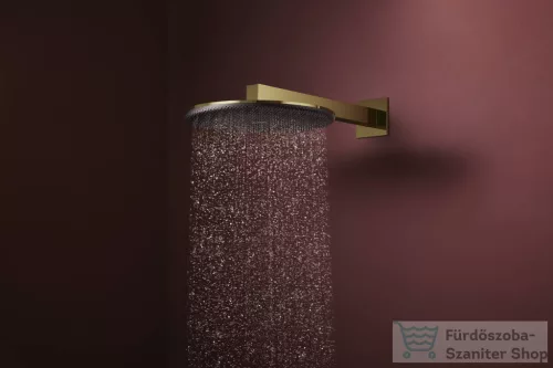 Hansgrohe RAINDANCE ALIVE S 300 Ecosmart 2 funkciós fejzuhany zuhanykarral, alaptest nélkül, polírozott arany hatású 24541990
