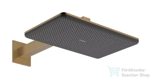 Hansgrohe RAINDANCE ALIVE Q 210/340 Ecosmart 2 funkciós fejzuhany zuhanykarral, alaptest nélkül, szálcsiszolt bronz 24551140