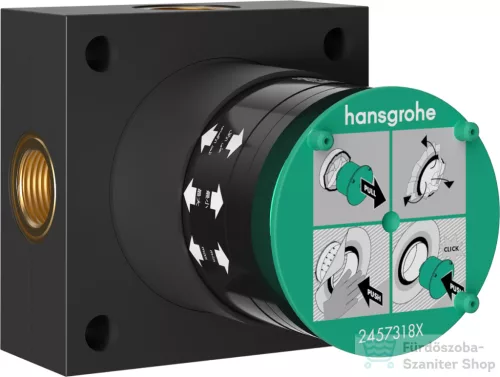 Hansgrohe alaptest 2 funkciós fejzuhanyhoz, 24573180