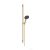 Hansgrohe Raindance ALIVE Select S 125 Ecosmart zuhanyszett 100,8 cm-es rúddal, szálcsiszolt bronz 24603140