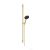 Hansgrohe Raindance ALIVE Select S 125 Ecosmart zuhanyszett 100,8 cm-es rúddal, polírozott arany hatású 24603990
