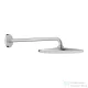 Grohe Rainshower Mono 310 fejzuhany 42 cm-es zuhanykarral,Supersteel 26558DC0