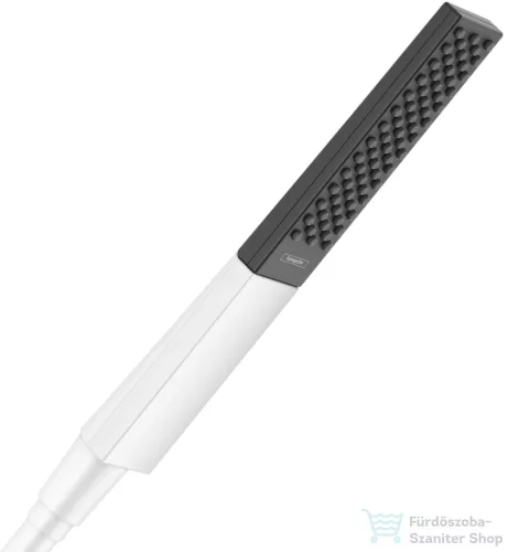 Hansgrohe RAINFINITY 100 kézizuhany, 1 Jet Ecosmart, matt fehér 26867700