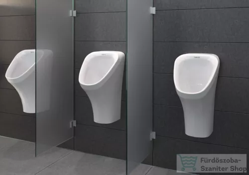 Duravit Durastyle Dry öblítés nélküli piszoár 2808300000 ( 280830 )