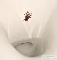 Duravit ME by Starck öblítőperem nélküli elektronikus (hálózat) Rimless piszoár, 0,5 l légymatricával 2809310097 ( 280931 )