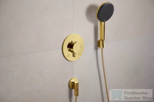 Hansgrohe FIXFIT FINE S gégecső csatlakozó visszafolyásgátlóval, polírozott arany hatású 28882990