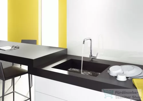 Hansgrohe HG Focus konyhai csaptelep elforgatható kifolyóval króm 31820000