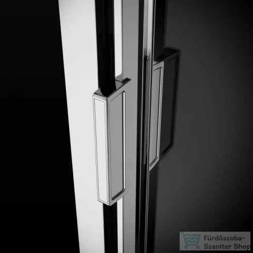 Radaway Evo DW 110 tolóajtó 335110-01-01