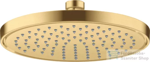 Hansgrohe AXOR SHOWERSOLUTIONS Ecosmart+ 22 cm-es fejzuhany, szálcsiszolt arany hatású 35388250