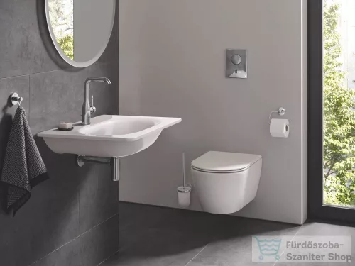 Grohe ESSENTIALS fali wc kefe tartó,króm/üveg 40374001