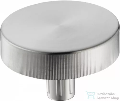 Hansgrohe A11 forgó fogantyú az excentrikus működéshez, nemesacél felület 40953800