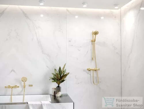 Hansgrohe ADDSTORIS fali szappantartó, polírozott arany hatású 41746990