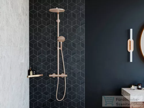 Hansgrohe ADDSTORIS dupla akasztó, szálcsiszolt bronz 41755140