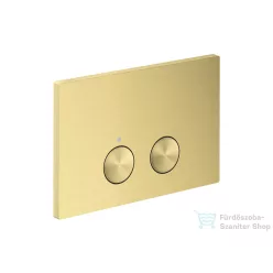   Hansgrohe AXOR FLUSH PLATE nyomólap, szálcsiszolt sárgaréz 42531950