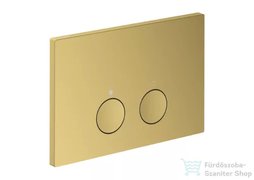 Hansgrohe AXOR FLUSH PLATE nyomólap, polírozott arany hatású 42531990