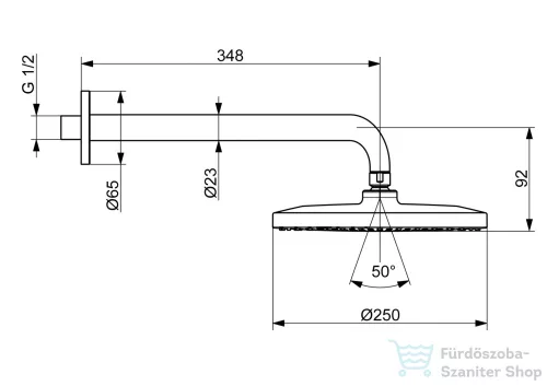 Hansa Hansaviva 25 cm-es fejzuhany 34,8 cm-es zuhanykarral,króm 44260200