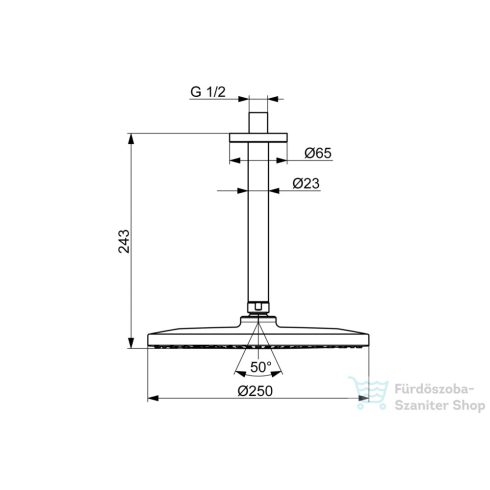 Hansa Hansaviva 25 cm-es mennyezeti fejzuhany 24,3 cm-es zuhanykarral,króm 44270200