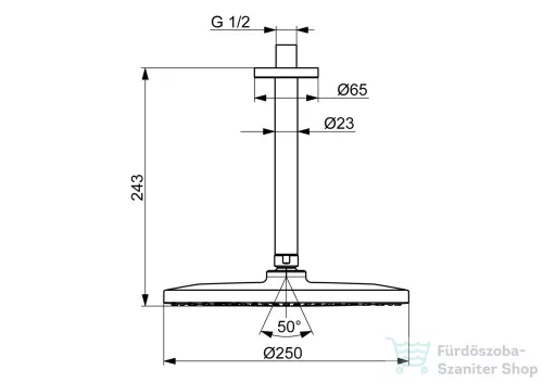 Hansa Hansaviva 25 cm-es mennyezeti fejzuhany 24,3 cm-es zuhanykarral,króm 44270200