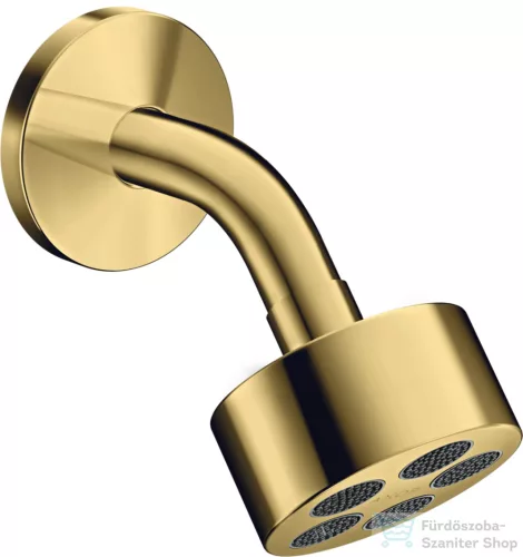 Hansgrohe AXOR ONE Ecosmart fejzuhany zuhanykarral,1 jet,polírozott arany hatású 48490990