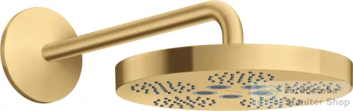 Hansgrohe AXOR ONE 280 fejzuhany zuhanykarral,1 jet,szálcsiszolt arany hatású 48491250