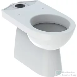   Geberit SELNOVA alsó kifolyású,mélyöblítéses monoblokkos wc,fehér 500.151.01.7