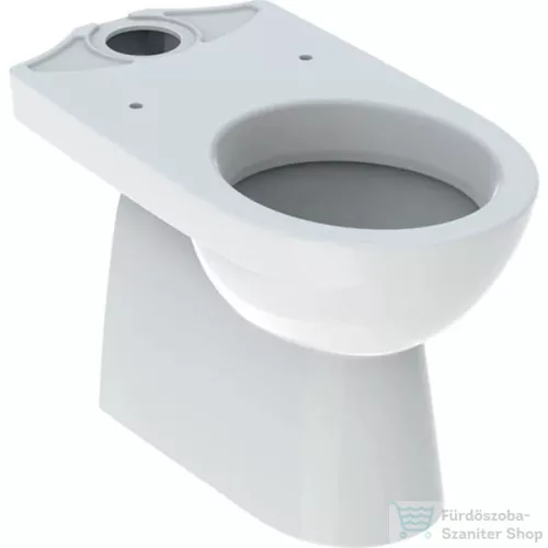 Geberit SELNOVA alsó kifolyású,mélyöblítéses monoblokkos wc,fehér 500.151.01.7