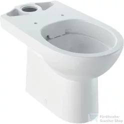   Geberit SELNOVA perem nélküli,hátsó kifolyású,mélyöblítéses monoblokkos wc,fehér 500.285.01.7