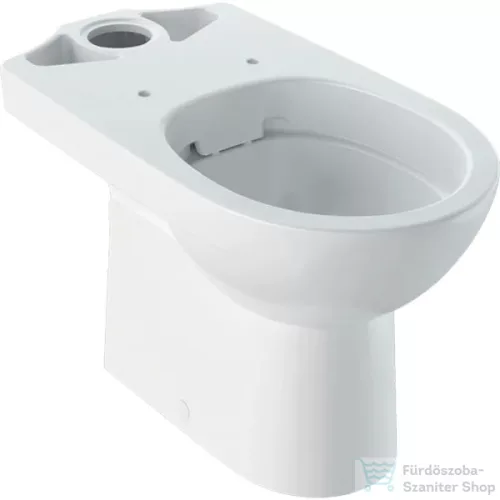 Geberit SELNOVA perem nélküli,hátsó kifolyású,mélyöblítéses monoblokkos wc,fehér 500.285.01.7