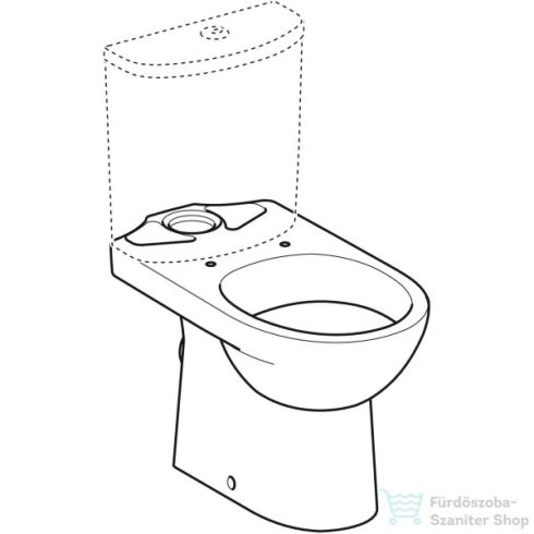 Geberit SELNOVA hátsó kifolyású,mélyöblítéses monoblokkos wc,fehér 500.287.01.7