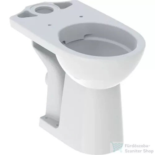 Geberit SELNOVA COMFORT magasított,perem nélküli,hátsó kifolyású,mélyöblítéses monoblokkos wc,fehér 500.486.01.7