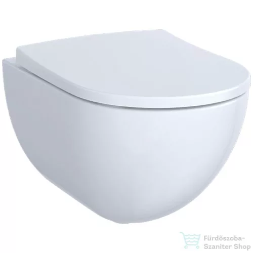 Geberit Acanto Rimfree fali wc 500.600.01.2
