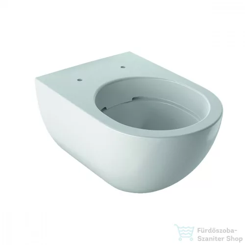Geberit Acanto Rimfree fali wc 500.600.01.2